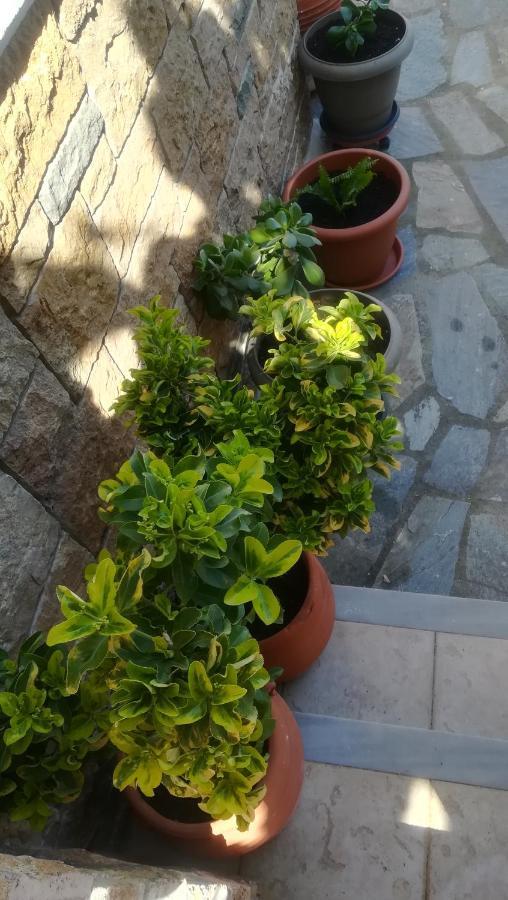 Paressa'S House Apartment Nikiti  Exterior photo